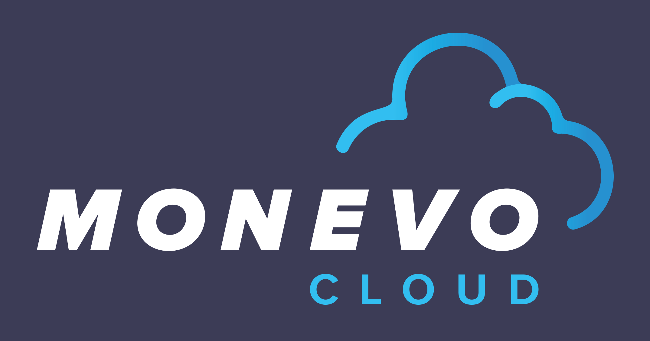 Work in progress: Monevo Provider Cloud logo with blue gradient, white letters