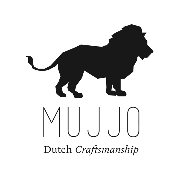 Evolution of the MUJJO logo form 1