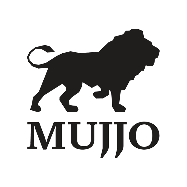 Evolution of the MUJJO logo form 2