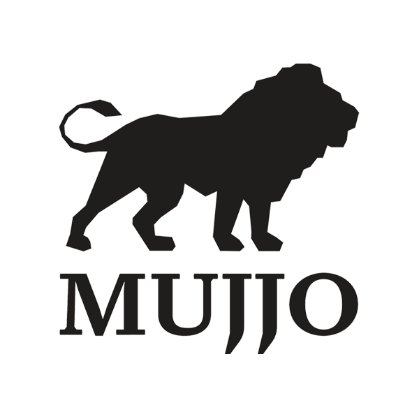 Evolution of the MUJJO logo form 3