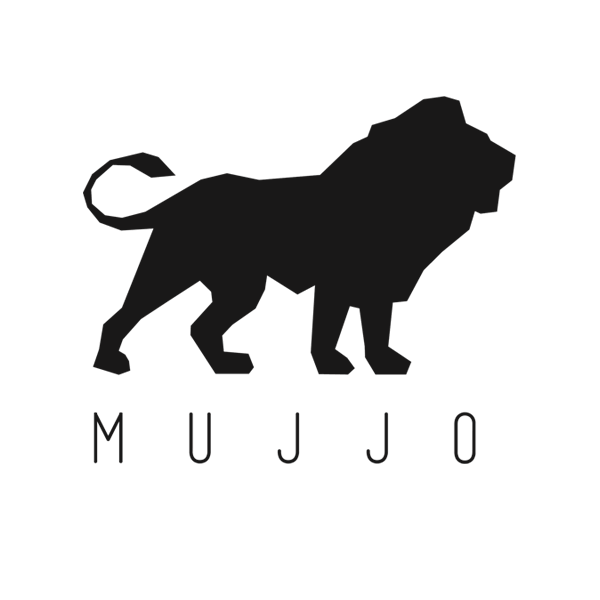 Evolution of the MUJJO logo form 5