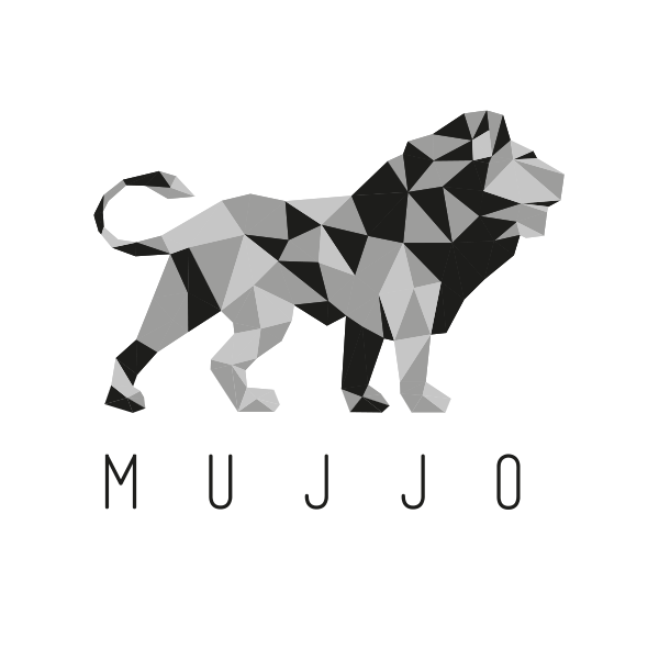 Evolution of the MUJJO logo form 6